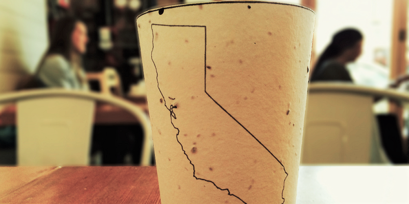 A California-based creative startup has made a paper cup that grows into a tree