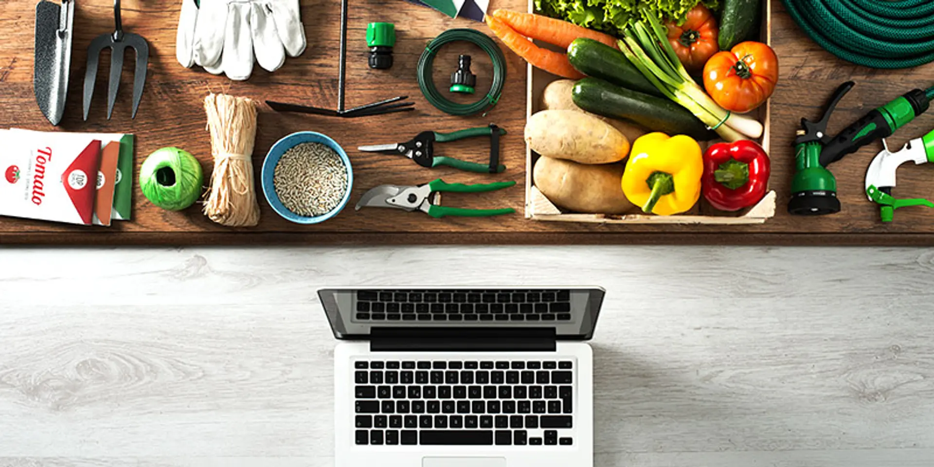 Ten social startups that are leveraging tech to empower lives in rural India