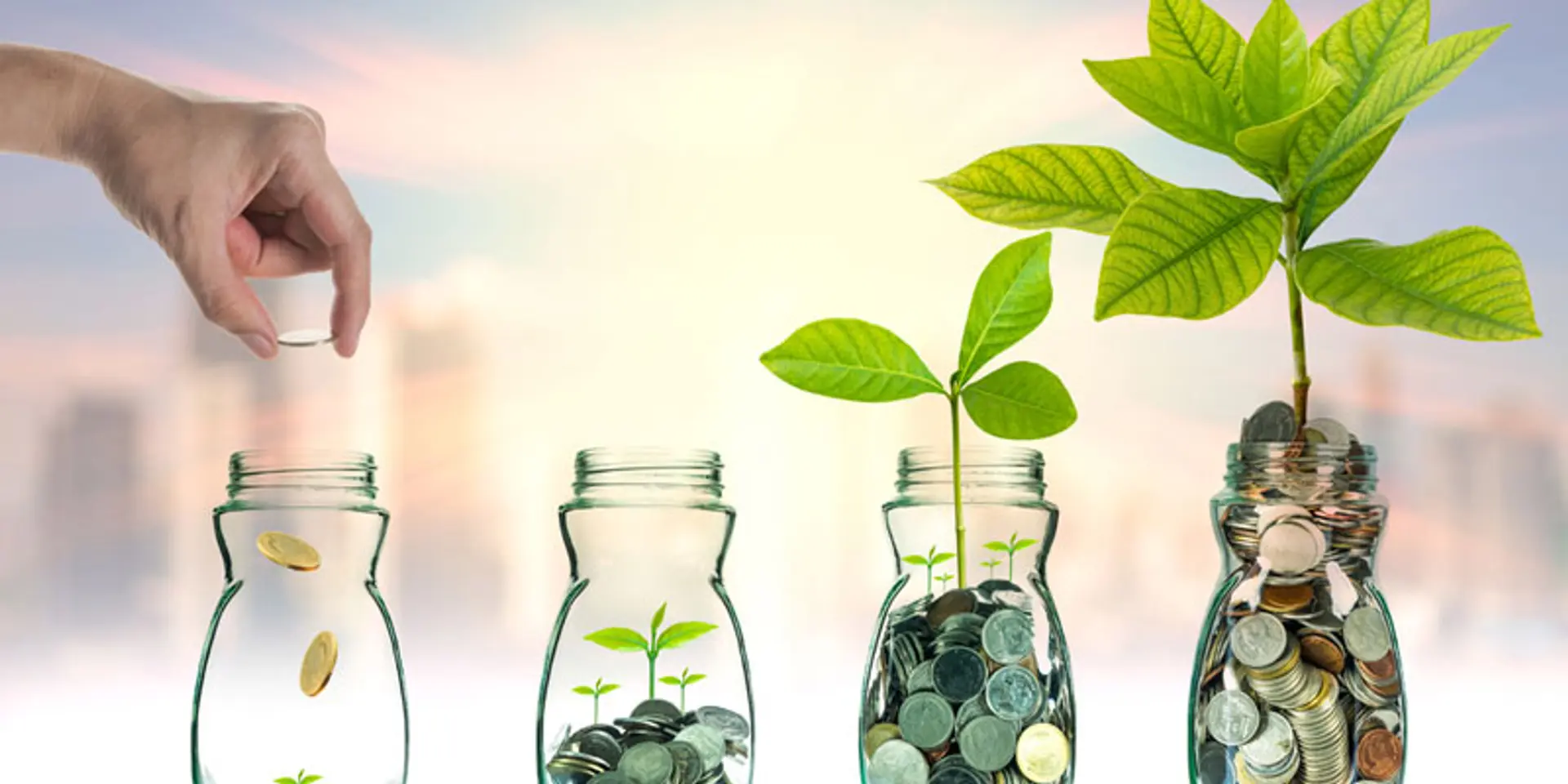 Online insurance platform Turtlemint raises venture capital from Nexus, Blume