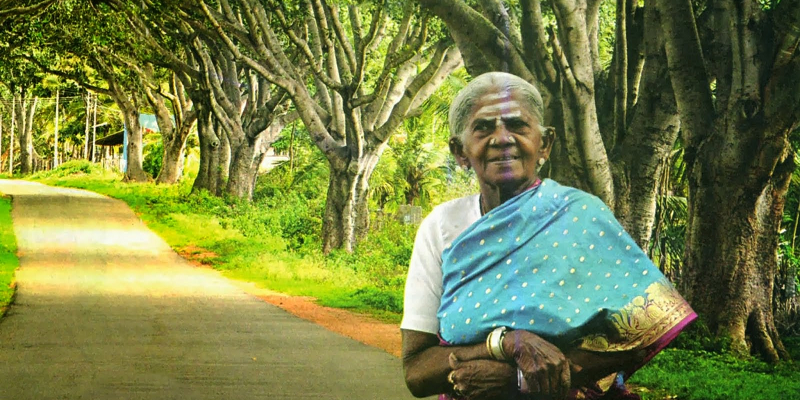 This 103-year-old woman from Karnataka has grown 384 banyan trees