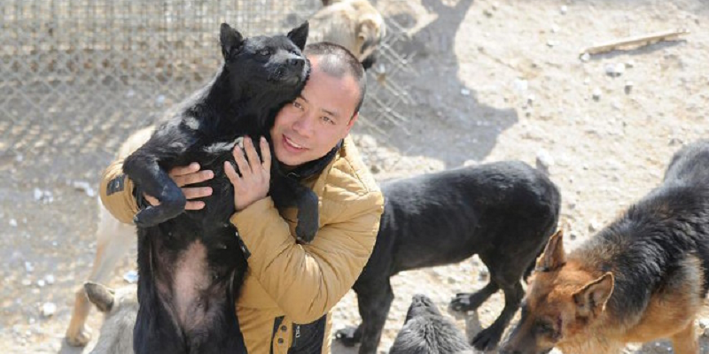 This millionaire has gone broke to save thousands of dogs from slaughterhouses