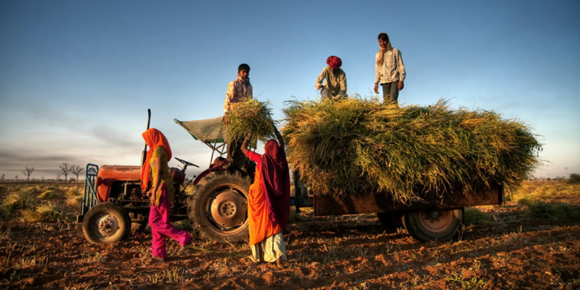 Agroman taps into a huge market with its online agro services platform for the farmer community