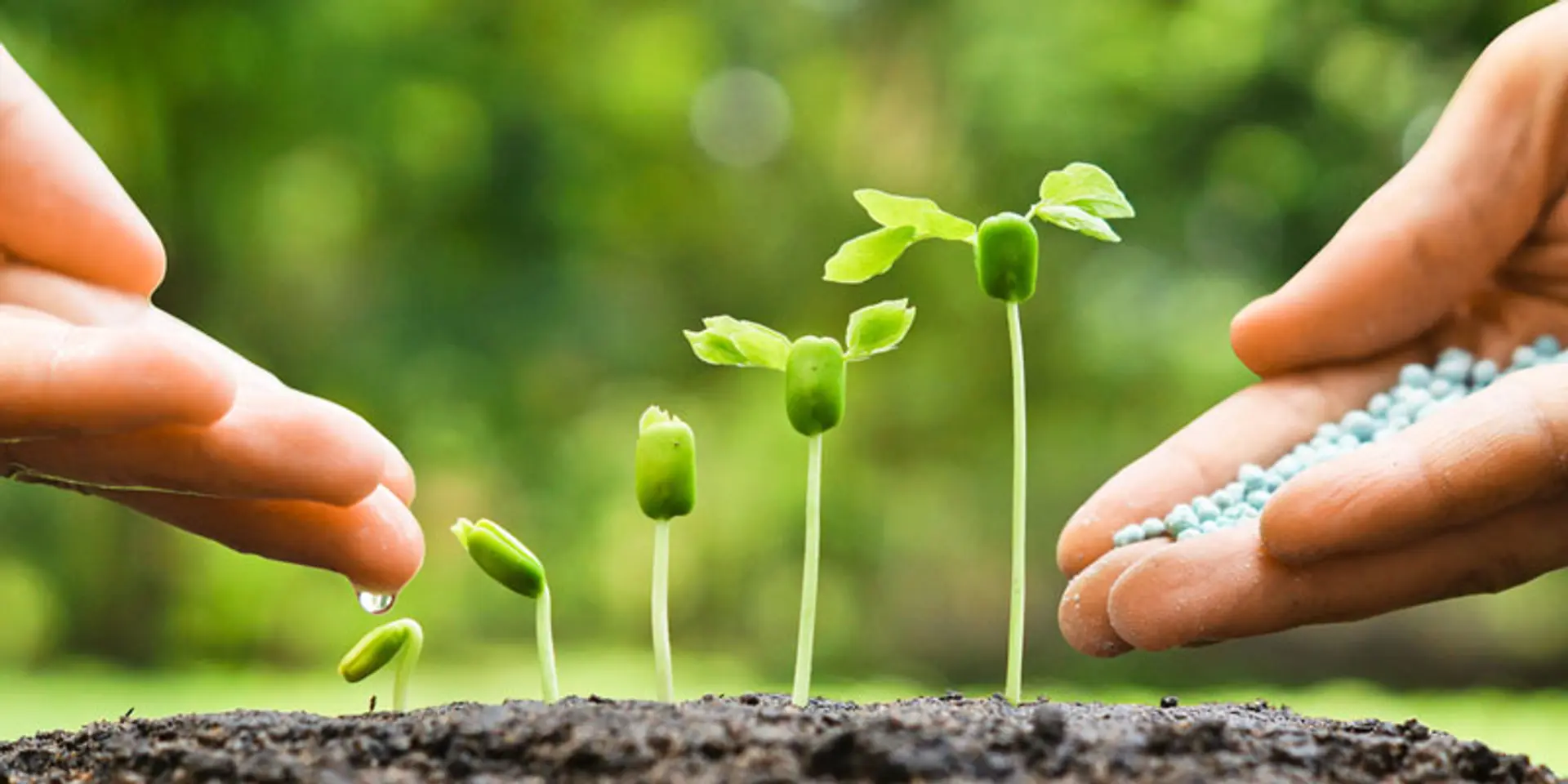 My survival guide, lessons from running my startup for five years