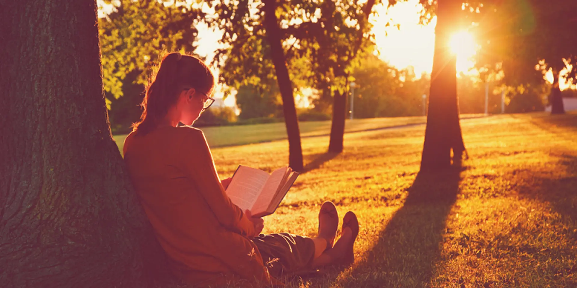 With growing e-commerce, Indian book market all set to become Rs 739 billion industry by 2020