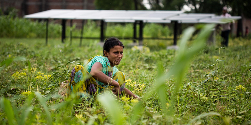 Dharnai, a village in Bihar, is India's first fully solar powered village