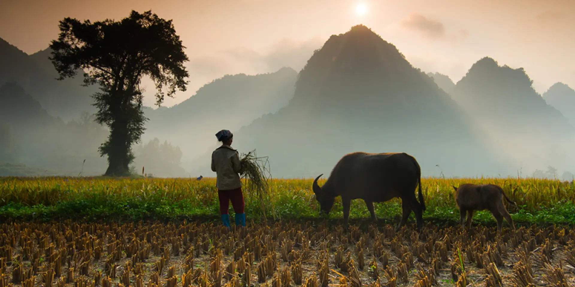 Meghalaya scheme envisions turning farmers into entrepreneurs