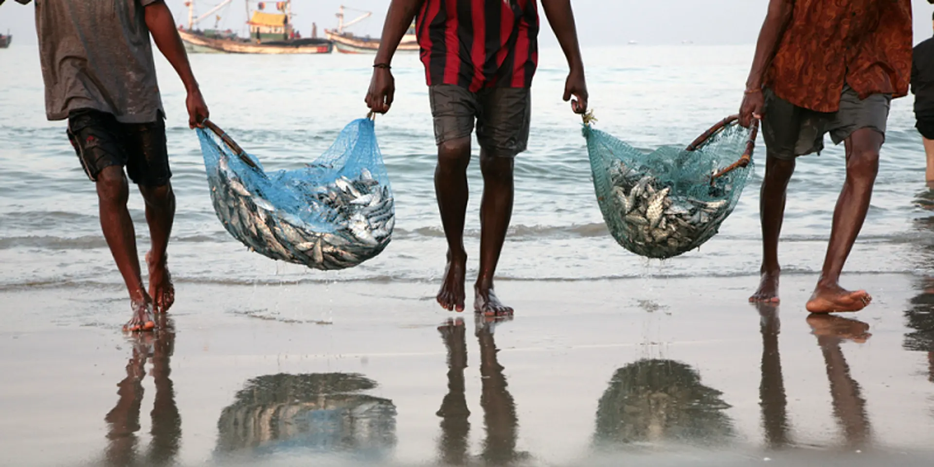 Many native fish species in India are facing the threat of extinction