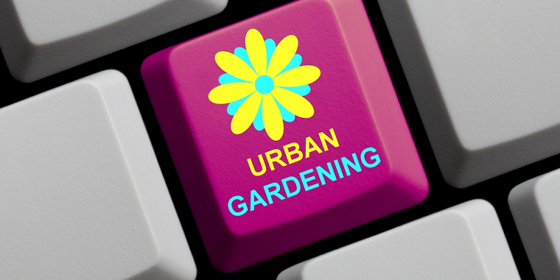 Ugaoo.com, an interactive portal for urban farming and gardening launched in Mumbai