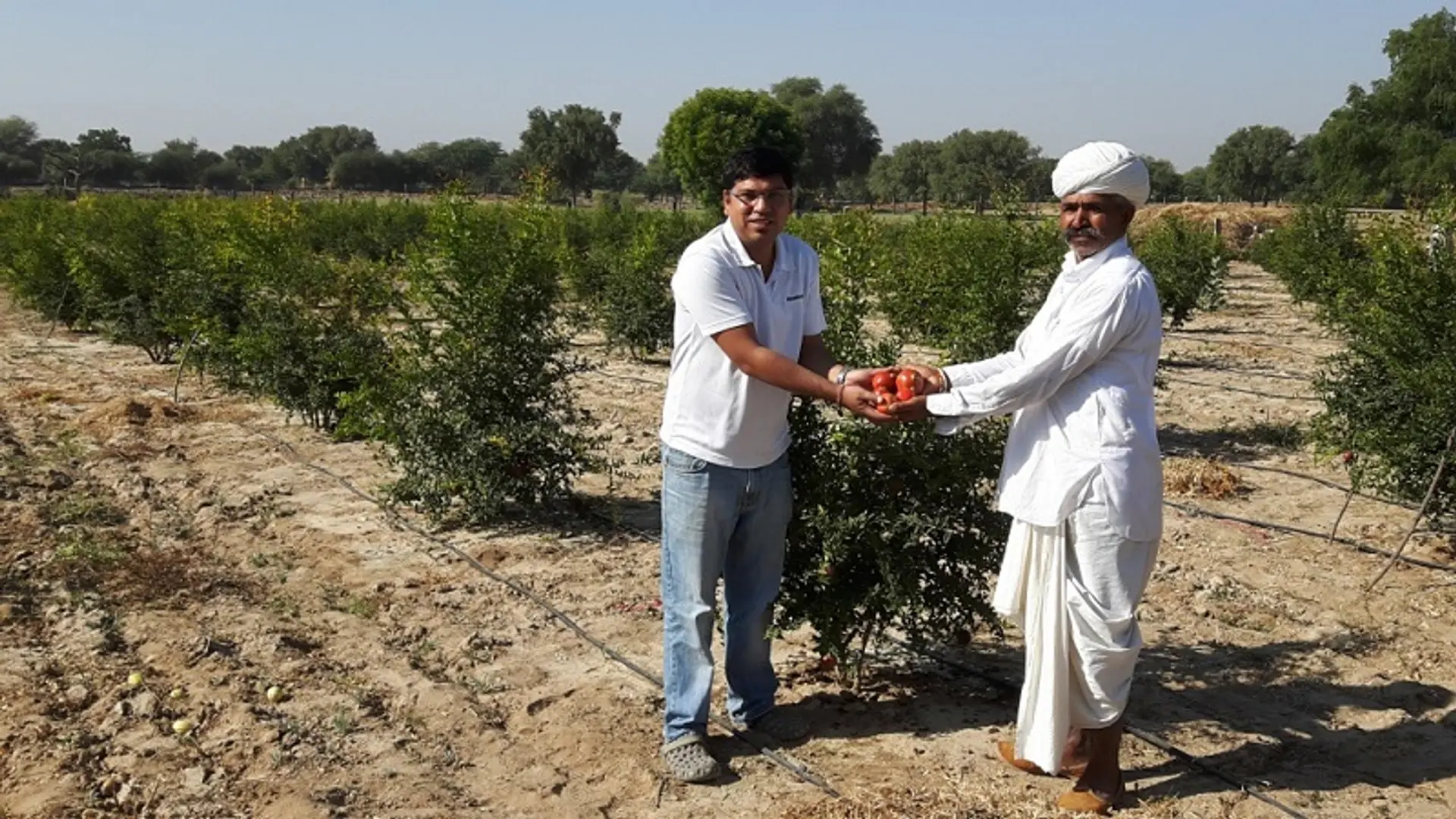 Want to plant a tree but don’t know ‘how’ and ‘where’? SankalpTaru has the answer