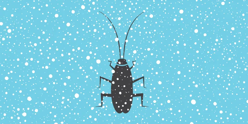 Cockroach_Winter startups survive