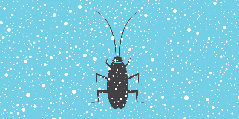 Who survives the winter? Cockroaches 