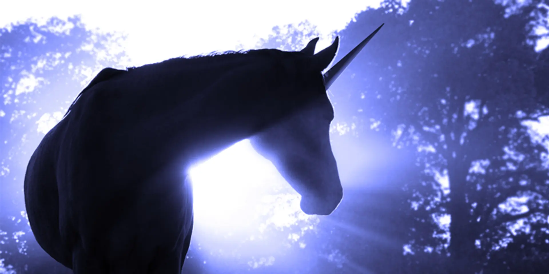 Unicorns are a myth. But you do believe!