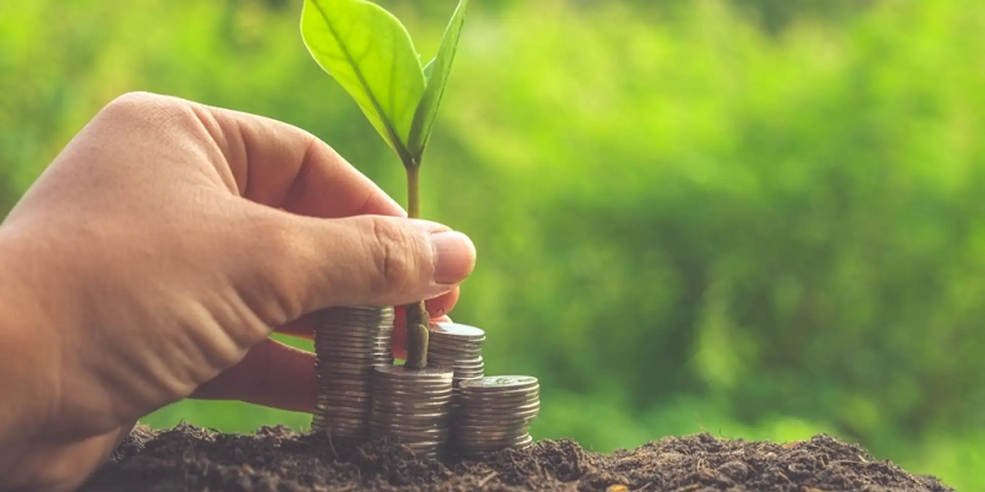 Mudra Bank refinances Rs 1,500 cr to micro units under Pradhan Mantri Mudra Yojana