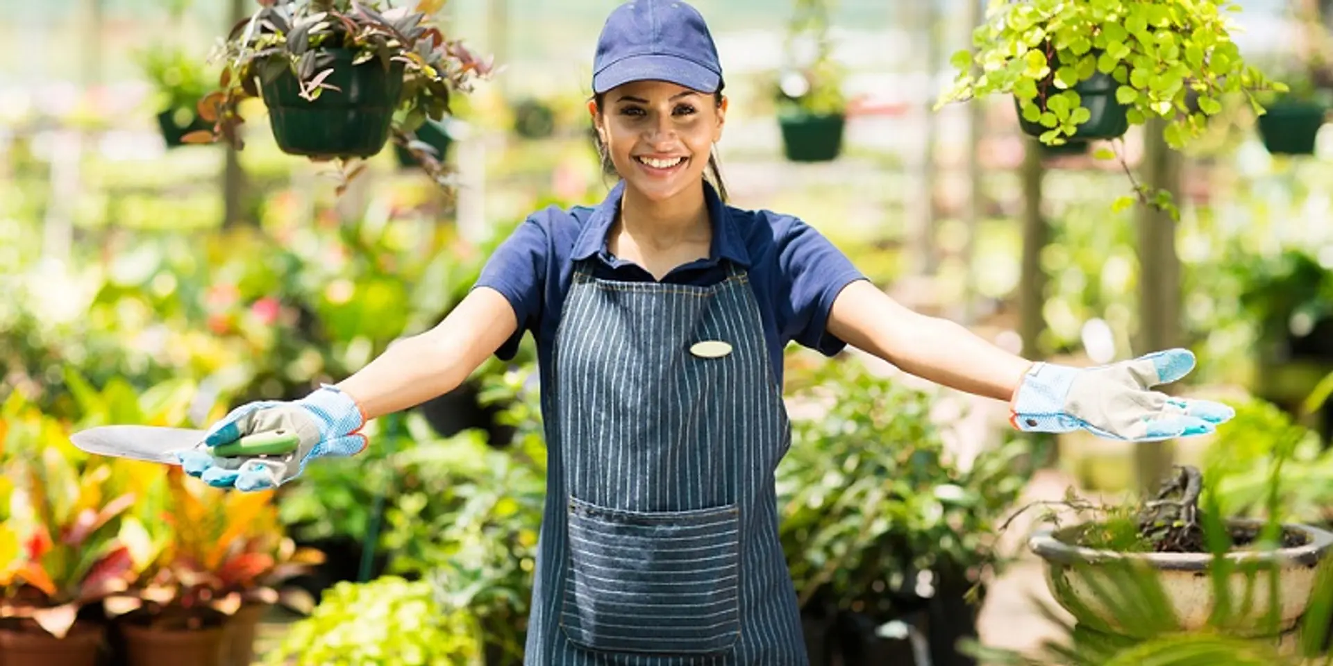Startups showcase power of organic farming during PM Narendra Modi's NE visit