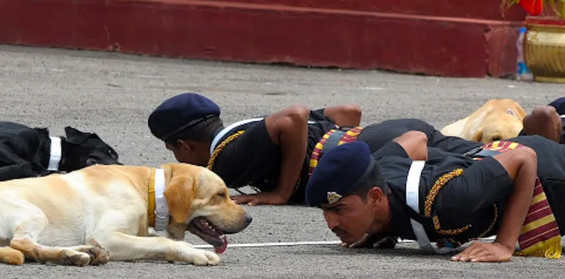 Image: The Huffington Post