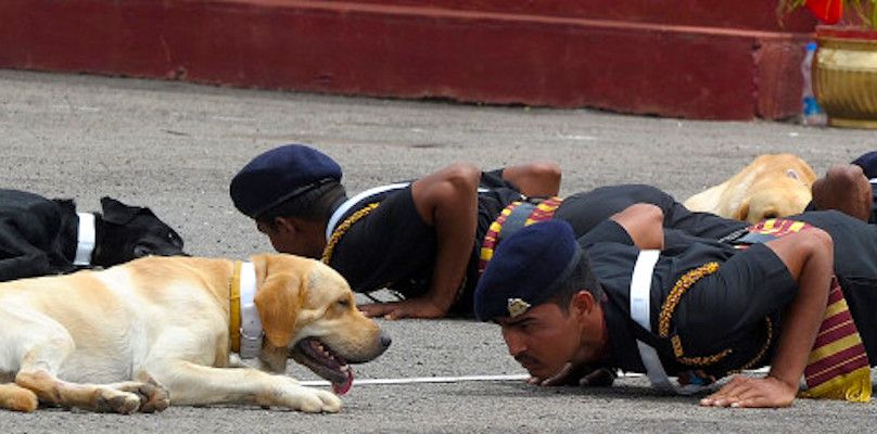 Indian Army will no longer mercy kill retired canine soldiers, but will rehabilitate them