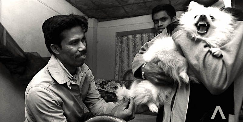 This self-taught vet in Kolkata has treated over 2,500 stray dogs in his own home