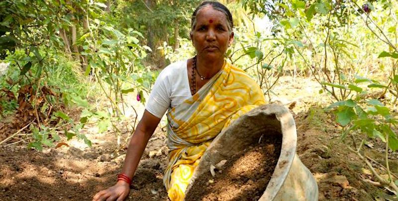 Meet the woman farmer who proved that organic farming is more profitable