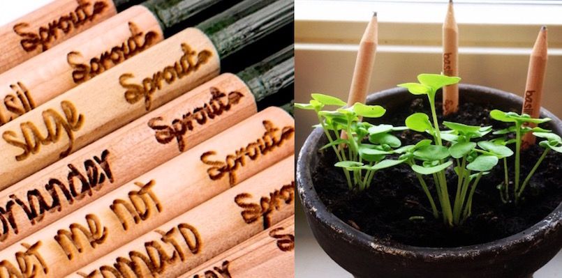Meet the entrepreneur behind the pencils that grow into plants