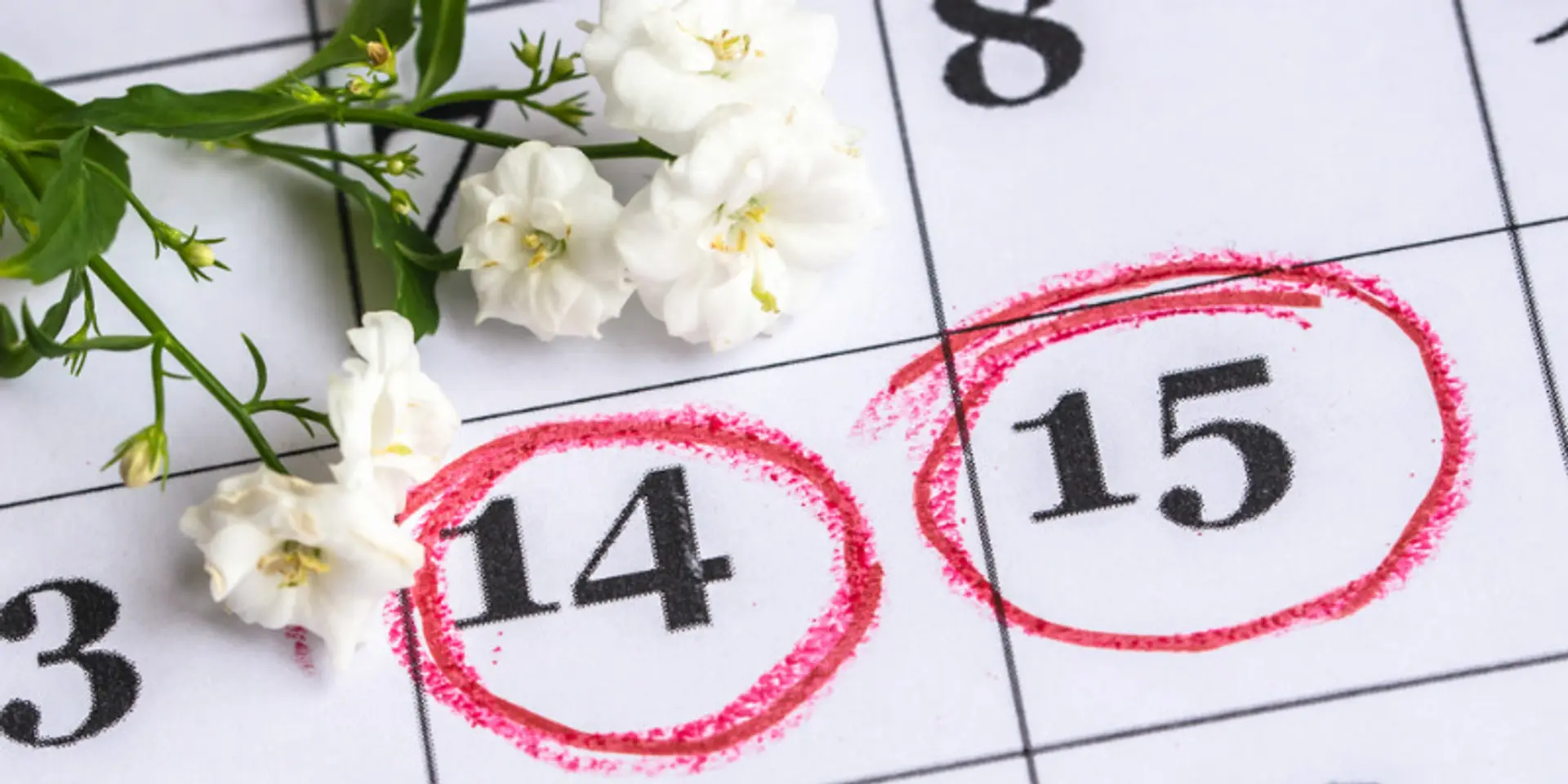 How women can stay on top of things, every day of the month