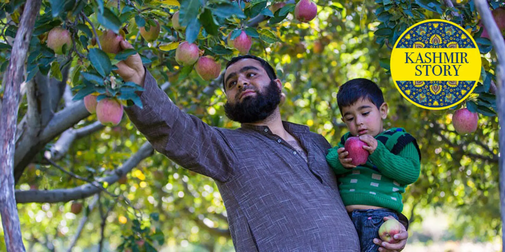 The call of home made this US-returned entrepreneur revive Kashmir’s apple industry