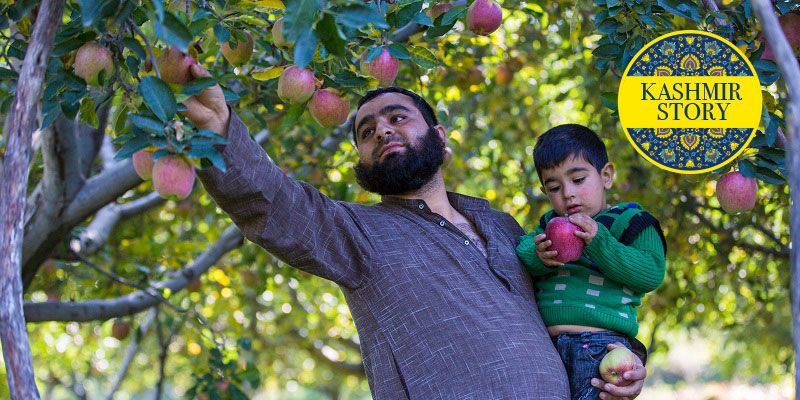 The call of home made this US-returned entrepreneur revive Kashmir’s apple industry