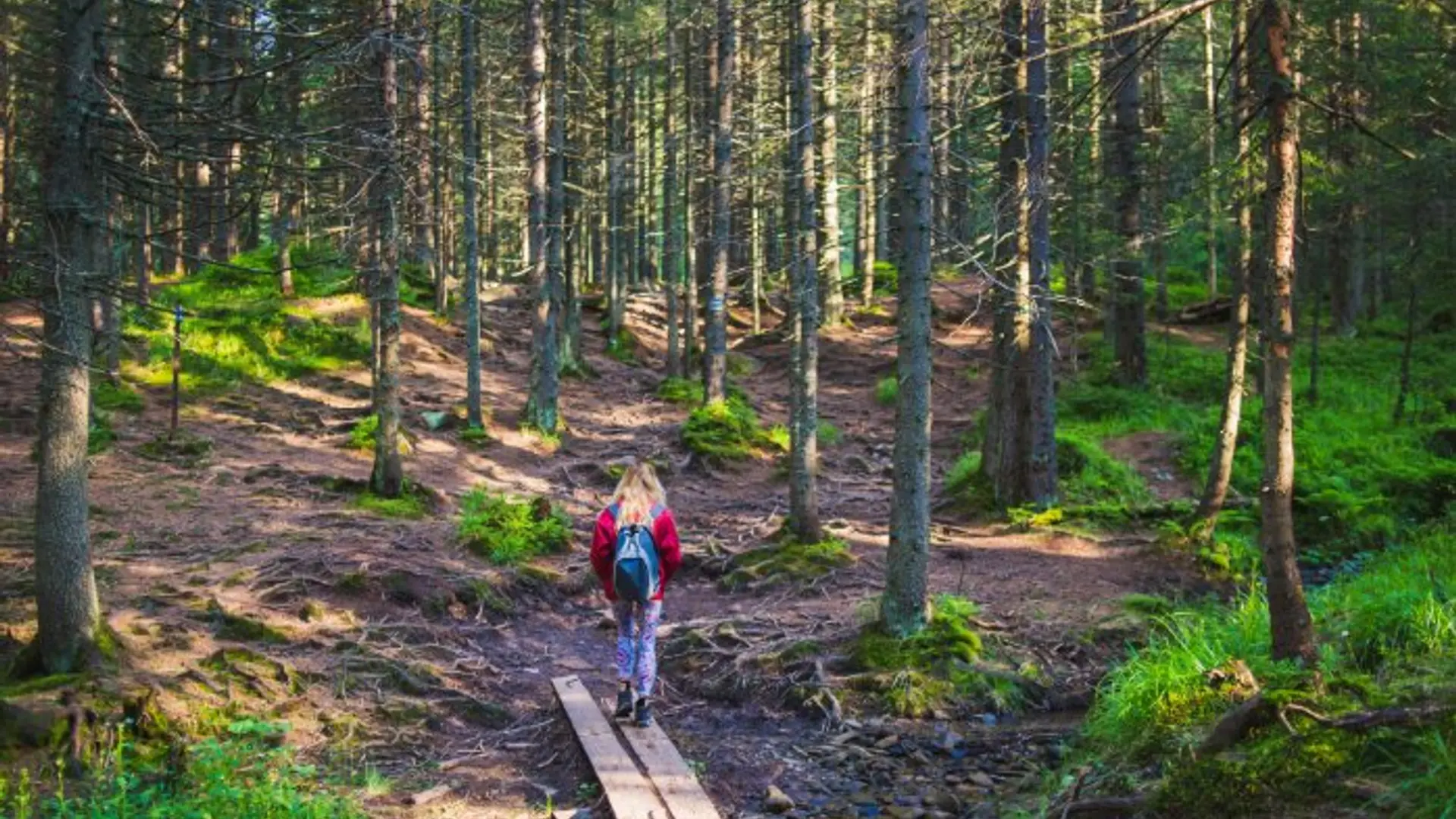 I don't know. And I’m fine with that