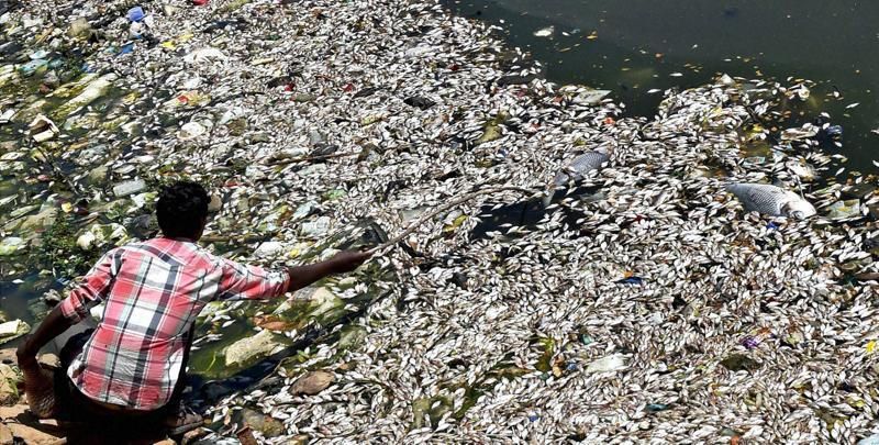 Central govt will give Rs 665 crore to help clean Bengaluru lakes