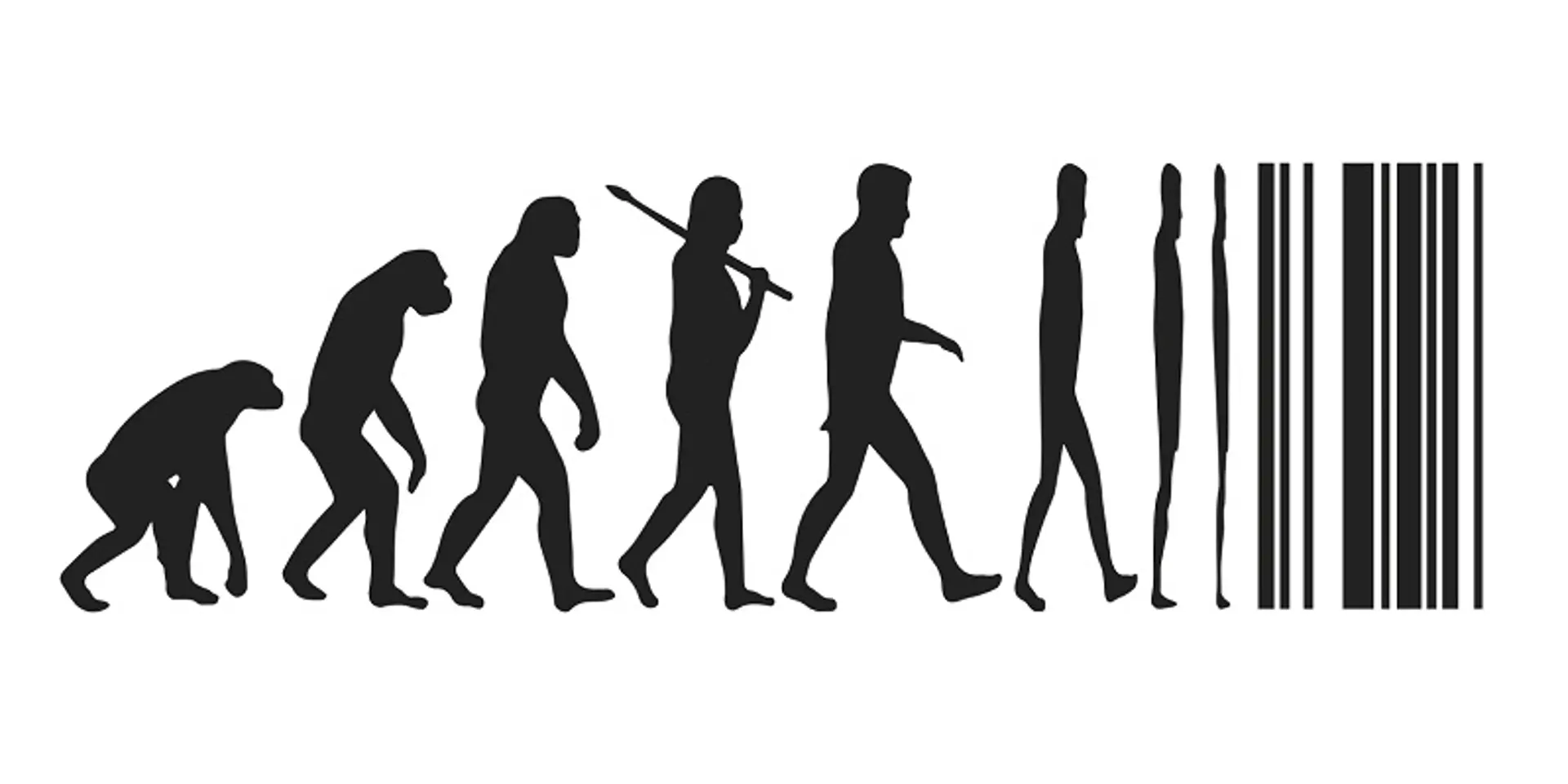 The different phases in an entrepreneur’s life