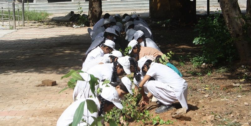 Delhi-based Swechha is planting 25,000 saplings to expand city’s green cover