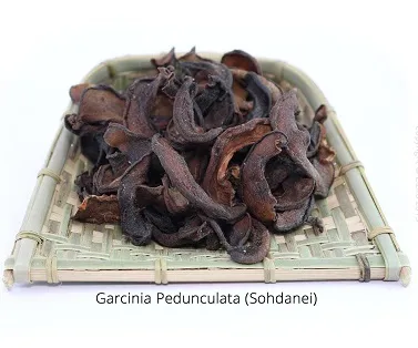 Garcinia-Pedunculata-Sohdanei