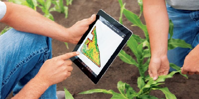 Researchers from Cuttack have developed a mobile app to help rice farmers