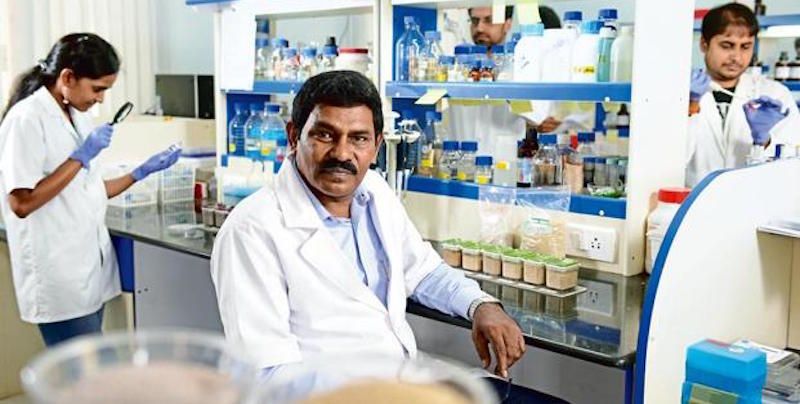 This professor from Mysuru has developed drought-tolerant grains for Indian farmers