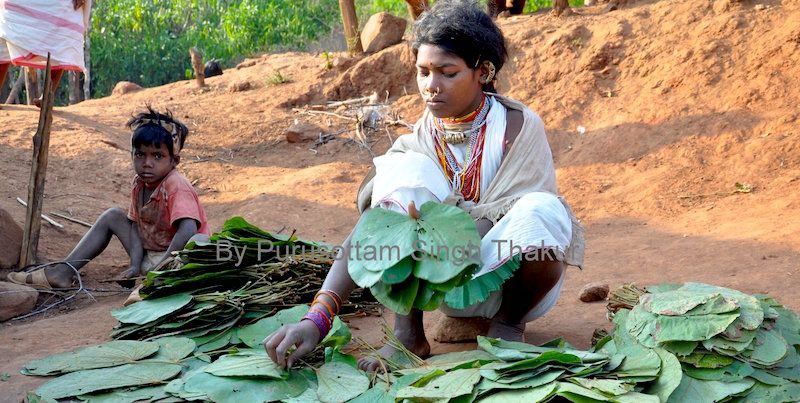 Indian 'Pattals' trending in Europe as 3,500 tribal women turn into entrepreneurs