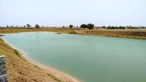 farm_pond