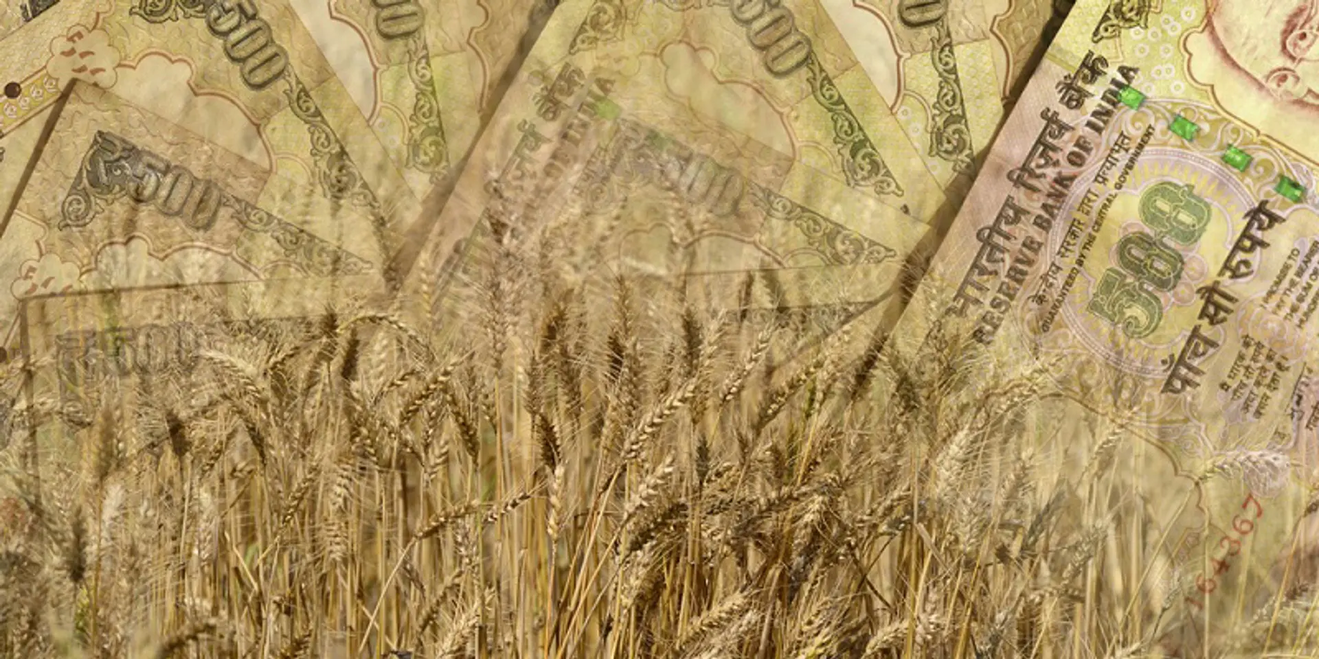 Uncovering gold at the bottom of the pyramid: 4 trends shaping grassroots banking in India