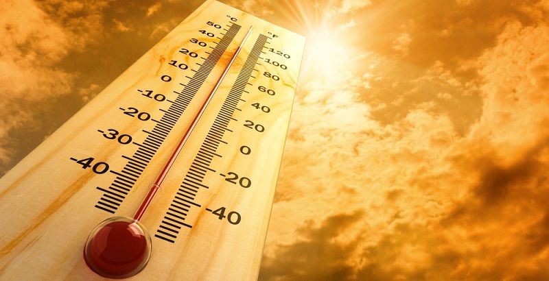 This year sees the hottest July till date: World Meteorological Organization