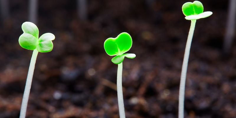 The bold and the disruptive: Meet Kstart’s first three portfolio companies