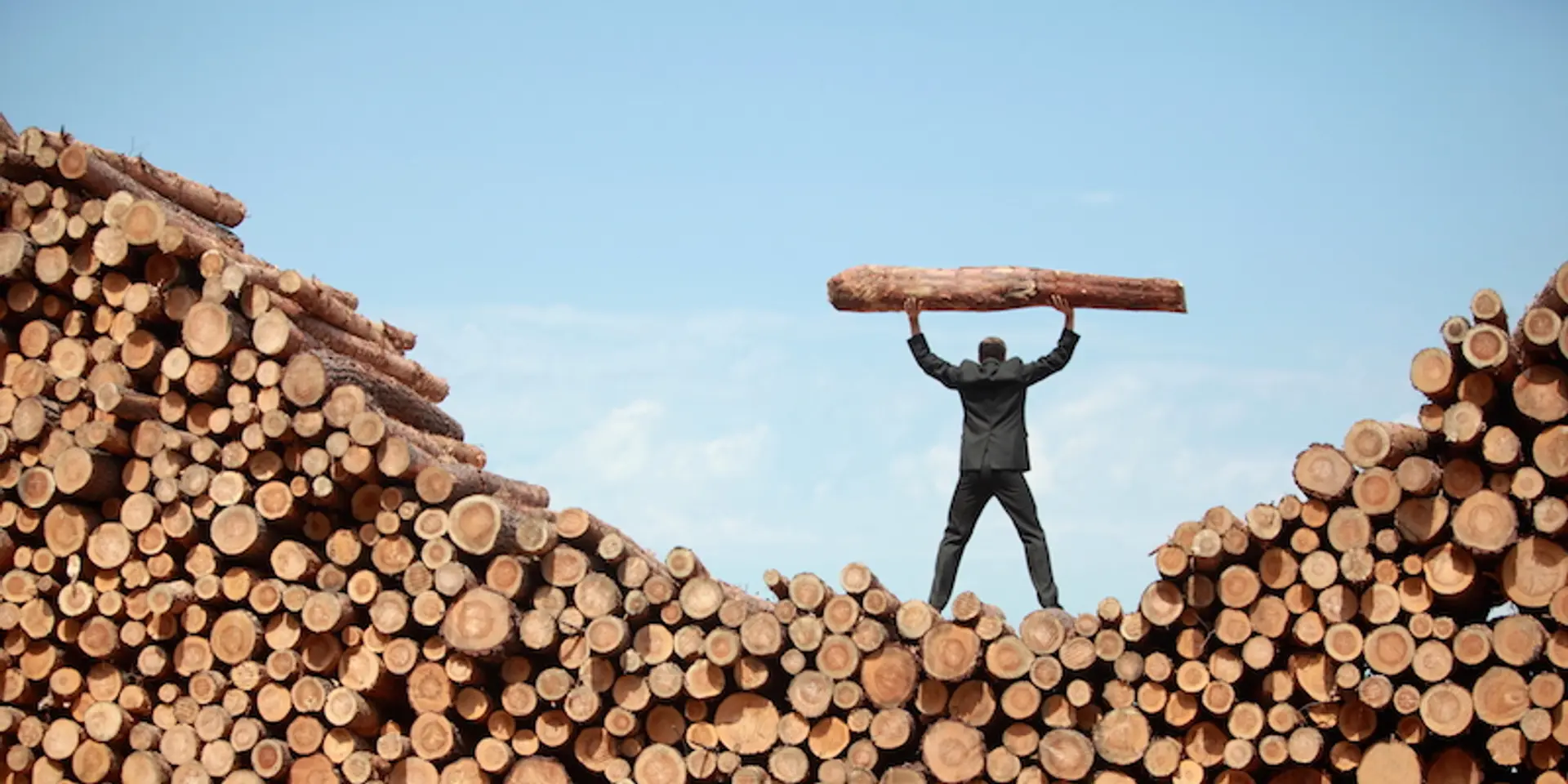 Everyone struggles on the entrepreneurship road