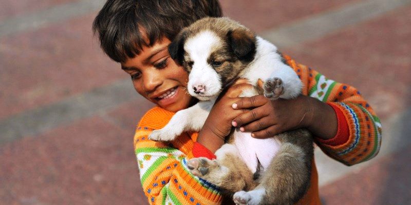 showing kindness animals