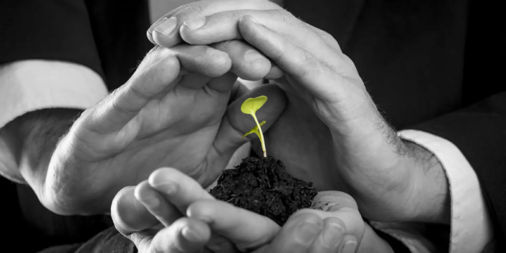 Idea-stage startups' contracts spell fear. Founders – guard against unscrupulous investors!