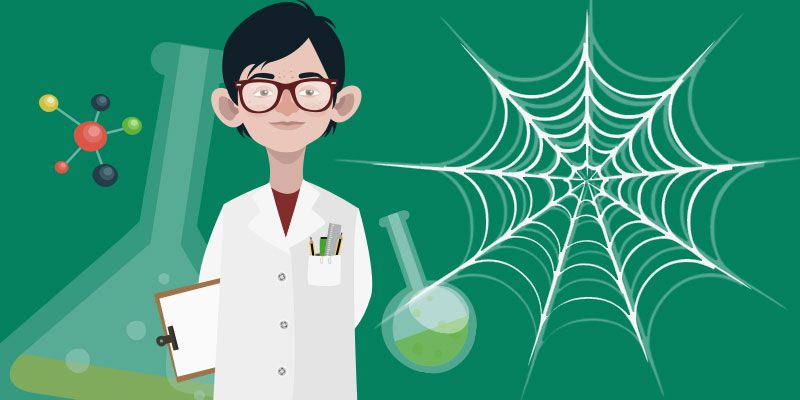 The Spidey’s Web will be recreated – And it will change the face of medicine and engineering!