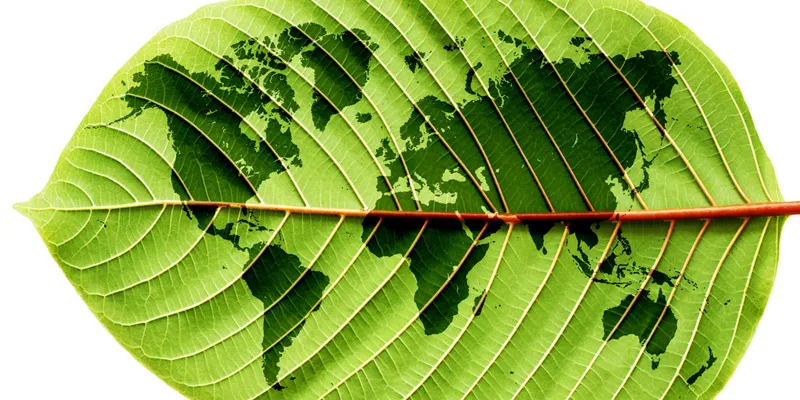 Sustainability
