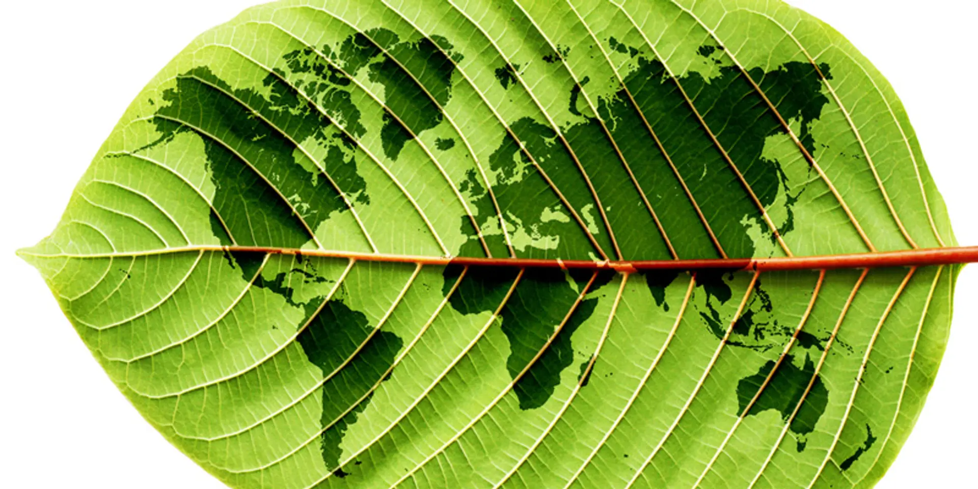 How can India craft a growth model with sustainability and scale?