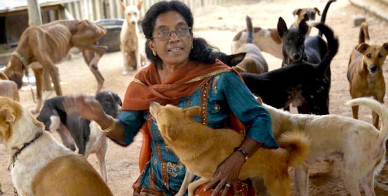 Meet Geetha Rani - the &#8220;Dog Lady&#8221; of Coimbatore who looks after 300 abandoned dogs at her own expense