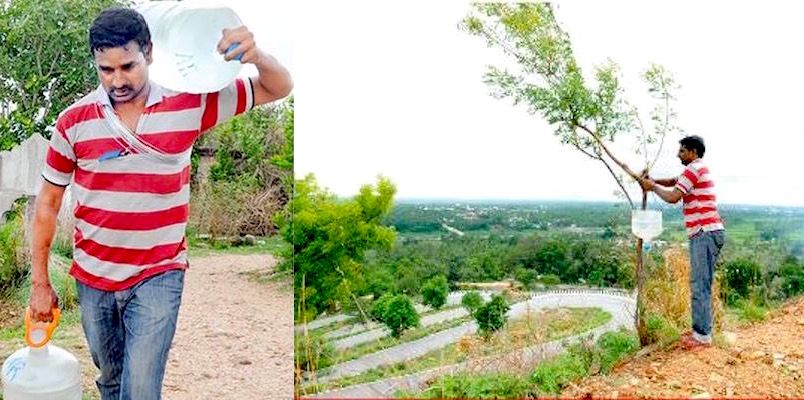 Ramesh has converted a rocky hill into a lush green paradise all by himself