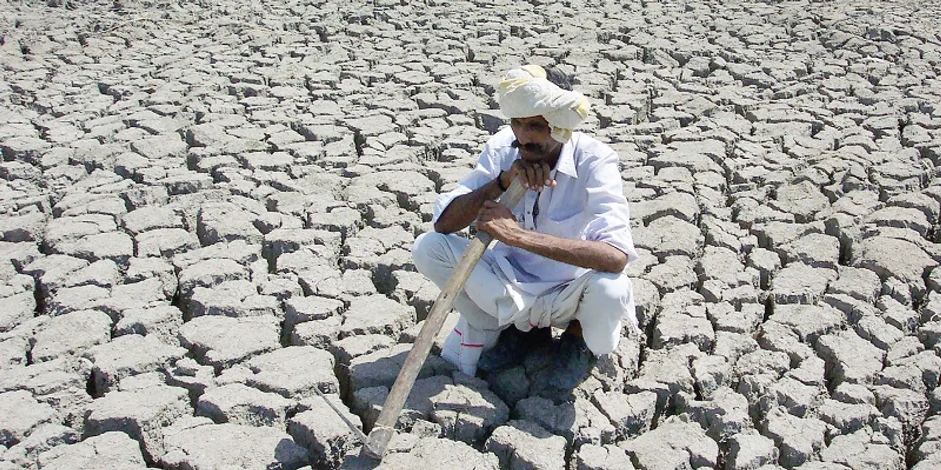 5 schemes introduced by the government to make agriculture a profitable sector