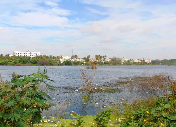 yourstory-Horamavu-Lake