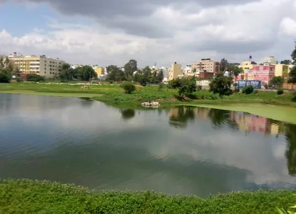 yourstory-Uttarahalli-lake