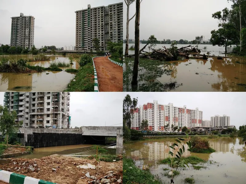 yourstory-save-bengaluru-kasavanahalli-lake